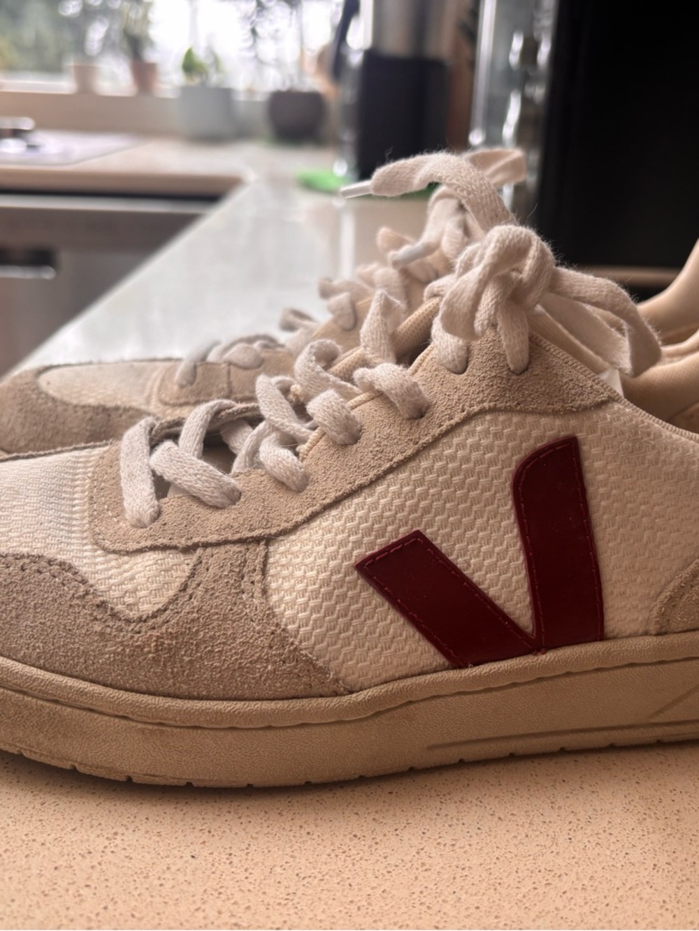 Veja Cream and Burgundy Low-Top Sneakers